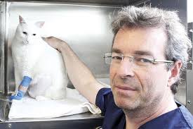 Muchos veterinarios atendemos a los gatos con un protocolo sistemático para  minimizar el estrés