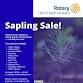 Rotary Sapling Sale