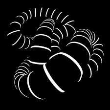 Wallpaper love romantic animasi bergerak 62 find hd wallpapers. 1000 Gambar Bergerak Keren Hd Gambar Id