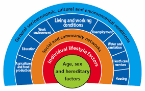 Advantages of a healthy lifestyle include disease prevention, prolonged life, increased energy, feeling good, improved looks and an escape from stress. Impact Of Poverty On Health