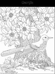 State Flower And State Bird Coloring Page Bird Coloring Pages Detailed Coloring Pages Flower Coloring Pages