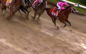 Thoroughbred pedigree for maximum security, progeny, and female family reports from the thoroughbred horse pedigree query. Video Shows What Maximum Security Did To Earn Disqualification