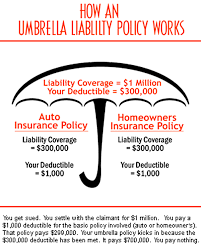 Maybe you would like to learn more about one of these? Here Are 11 Reasons We Have An Umbrella Liability Insurance Policy My Money Blog