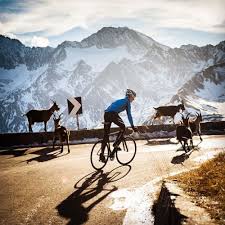 Gruber Images Cycling Photography Cycling Bikes Cycling Motivation