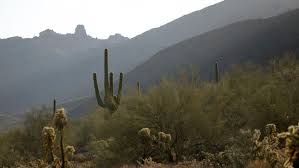 Fountain hills mcdowell mountain preserve. Scottsdale Spends 30 4 Million To Expand Mcdowell Sonoran Preserve