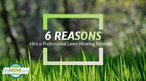 But there are a number of different services that are needed in order to get your lawn truly looking its best. 6 Reasons To Hire A Professional Lawn Mowing Services Gomow Gomow