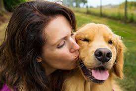 If the dog receives treatment and responds well to it, he may live up to one year after the lymphoma is detected. My Dog Has Lymphoma What Do I Do Now Lymphoma Treatment