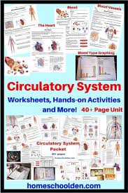 Pin On Human Body Units