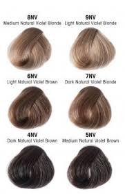 New Products Lanza Healing Haircare Lanza Hair Color