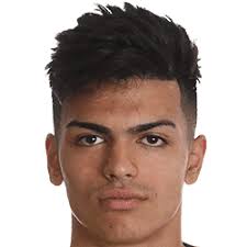 Cameron Gregory FM 2020 Profile, Reviews