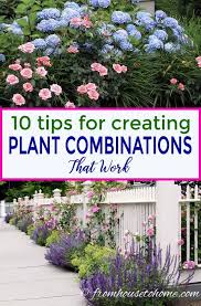 Plant Combinations 10 Tips For Creating Flower Combinations That Work Gardening From House To Home In 2020 Beautiful Flowers Garden Plants Plant Combinations