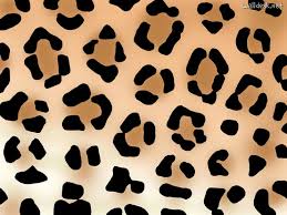 We did not find results for: Animal Print Wallpapers Top Free Animal Print Backgrounds Wallpaperaccess
