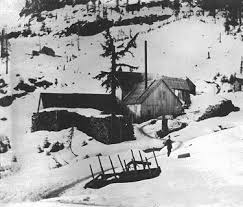 Fig 7 Music K Mine Mill Post Office Tunnel No 4 W Snow Lm Capps Cottage Grove Oregon Cottage Grove Ghost Towns