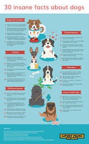 Ultimate Centralized How To Train Your Dogs Discover More Dog Facts Fun Facts About Dogs Dog Infographic