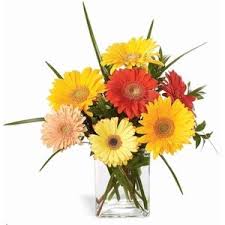 Check spelling or type a new query. Twigs Flowers Gifts Omaha Ne Local Florist