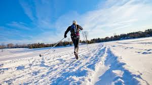 If this is the case then having the right trail either way is the key to getting the trail used. Top Cross Country Skiing In Ontario Muskoka Cross Country Ski Trails