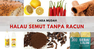 Terdapat banyak tips dan petua halau lipas dalam kereta boleh kita ikuti. Tak Payah Guna Racun Halau Semut Amalkan Petua Senang Ni Guna Barang Ada Kat Rumah Korang Je