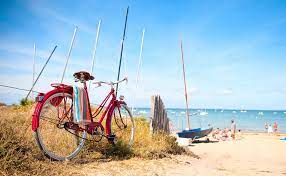 That means a negative balance for one casino will not affect the earnings from another casino. Voyages Et Vacances D Ete Quelles Sont Les Perspectives En 2020