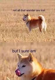 Not All That Wander Are Lost But I Sure Am Super Funny Memes Animal Memes Funny Animal Pictures