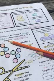 Enzyme Reactions Worksheet Answer Key Enzymes Doodle Notes With Activities Demonstrations In 2020 Biology Lessons Biology Activity Biology Lesson Plans
