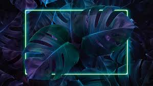 Download and share awesome cool background hd mobile phone wallpapers. Hd Wallpaper Leaves Plants Neon Wallpaper Flare