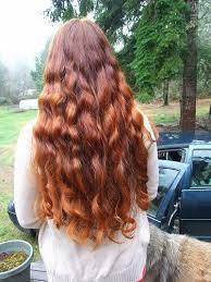 How To Apply Henna On The Hair Long Hair Styles Henna Hair Hair Styles
