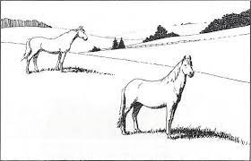 Painted in bright colors, these acrylic artworks are highly sought after. This Drawing Is A Good Example Of Placement The Horses Have A Relative Size And The Trees Are Much Smaller Because They Are F Illusions Horses Drawing Horse