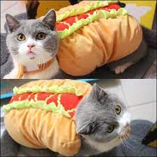 I Can Has Hot Dog Cat Costume Cute Dog Clothes Cat Costumes Pet Costumes