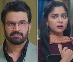 Arya Struggles With Guilt as Anu Decides to Move On