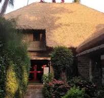 Synthetic Thatch Roofing Materials - NIPA Thatch Palma Sintética