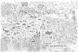 Coloriage gratuit imprimer pour fille 8 on. Coloriage Nature Occupez Vos Enfants Avec Nos Dessins La Salamandre