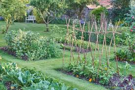 Gemusegarten Spatsommer Hinterhof Gemusegarten Hinterhof Garten Gartenbeet