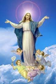 Thành thực sùng kính đức trinh nữ maria & những thông điệp quan trọng của mẹ maria ban cho nhân loại. Ä'á»©c Máº¹ Maria Ä'Æ°á»£c Ä'Æ°a Vá» Trá»i Lien Ä'oan Cong Giao Viá»‡t Nam Táº¡i Ä'á»©c