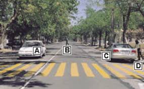 Examenes Licencias De Conducir