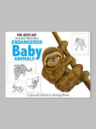 Use this lesson in your classroom, homeschooling curriculum or just once they draw and color their sloth hanging from a tree, share several basic facts about sloths with the kids. Animal Sketches Endangered Baby Animals Tim Jeffs Art
