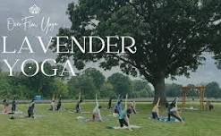 Lavender Festival Yoga at Ocimeae Lavender Farm