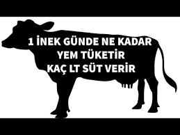 10 Inege Kac Donum Arazi Yeter Hayvancilik Kucukbas Buyukbas Koyun Ciftlik Tarim Youtube