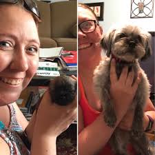 Here's our newest little baby and we decided to name her Ruby absolutely  fitting for her.