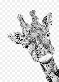 7 fundamentals of pencil drawing. Giraffe Wearing Pink Eyeglasses Chewing Gum Giraffe Bubble Gum Canvas Print Giraffe Painted Animals Hand Png Pngwing