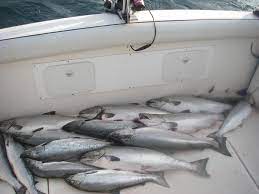 Hattrick Charters Home Facebook