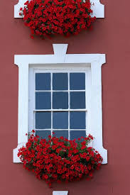 Check spelling or type a new query. Come To My Window Window Box Flowers Window Box White Windows