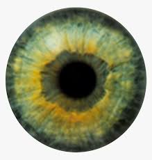 Realistic Green Eye Texture Hd Png Download Transparent Png Image Pngitem 1,000+ vectors, stock photos & psd files. realistic green eye texture hd png