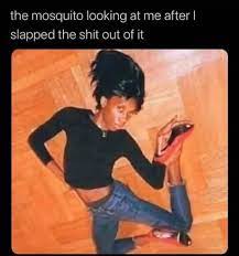Best 30 Mosquito Fun On 9gag