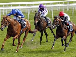 These are some of the best free racing games online. Horse Racing Gulf News