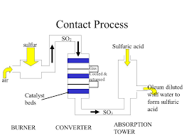 contact process catalyst rose tatoo