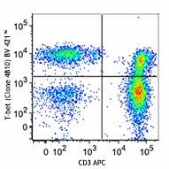 Maybe you would like to learn more about one of these? True Nuclear Transcription Factor Buffer Set