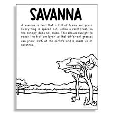Collection by anne bergstraesser • last updated 7 weeks ago. Savanna Biome Worksheets Teaching Resources Teachers Pay Teachers