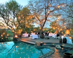 Image result for kruger national park south africa