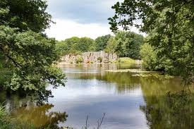 Bijzonder zijn ondermeer de beren en de zwarte zwanen. Tag Des Waldes In Der Anholter Schweiz