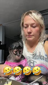 Own A Pet Spider Monkey